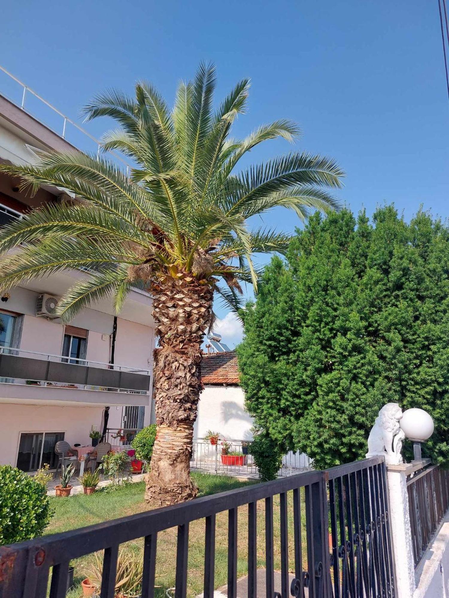 Studio Με Όλες Τις Ανέσεις Vétrina Extérieur photo